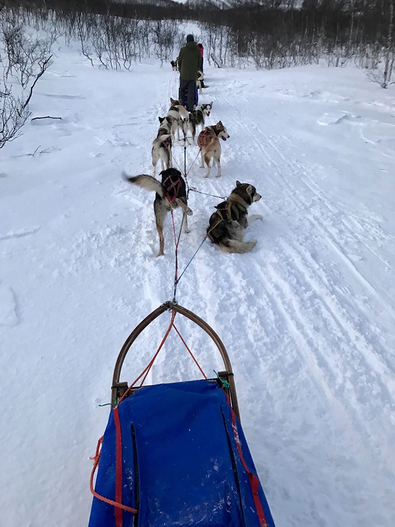 Photo de Tromsø